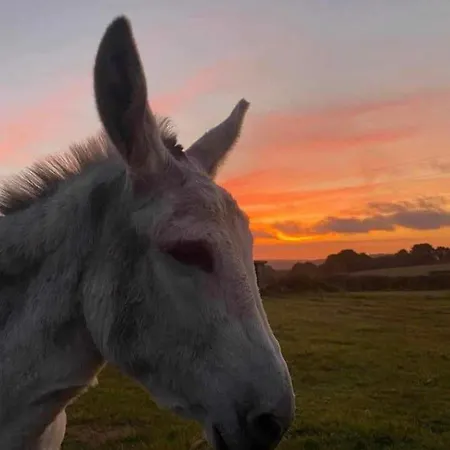 Stunning Views & Sunrises From Sally Saracen Kemping